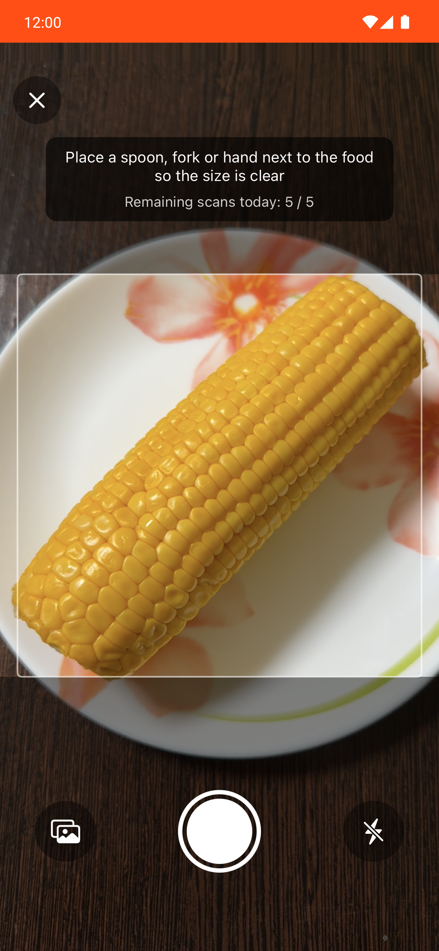 Food recognition from a photo